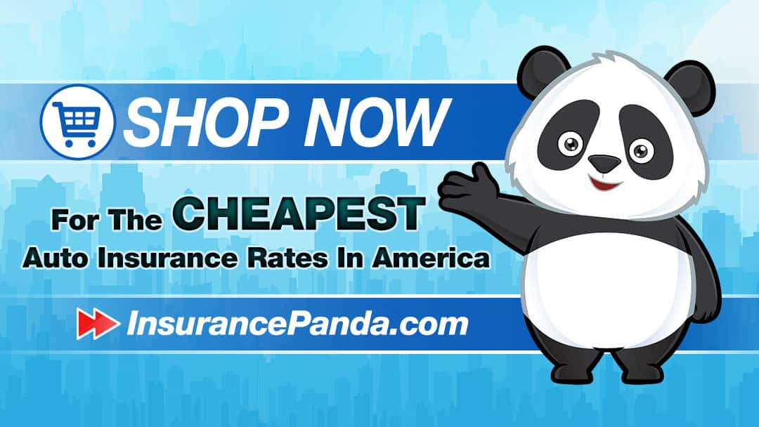 Insurance Panda Banner Design For Google Plus