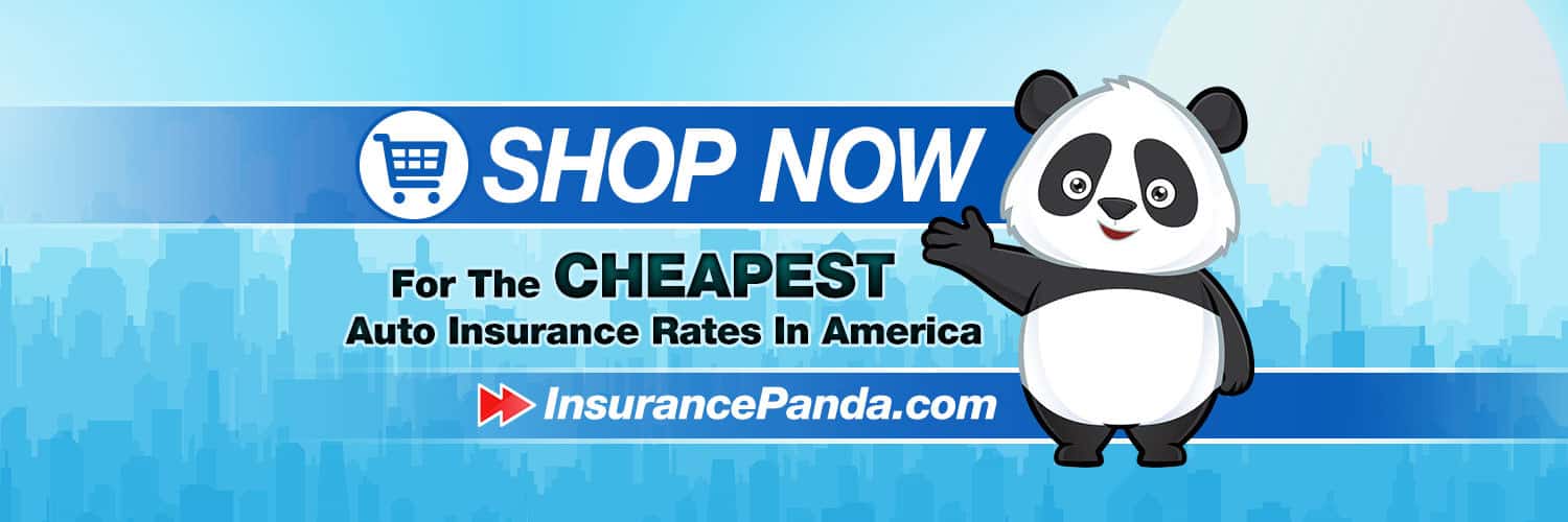 Insurance Panda Twitter Banner Example