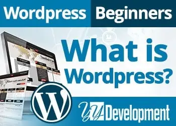 What Is WordPress? And What You Do With It?