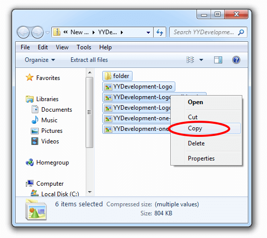 Copy Files From Zip File